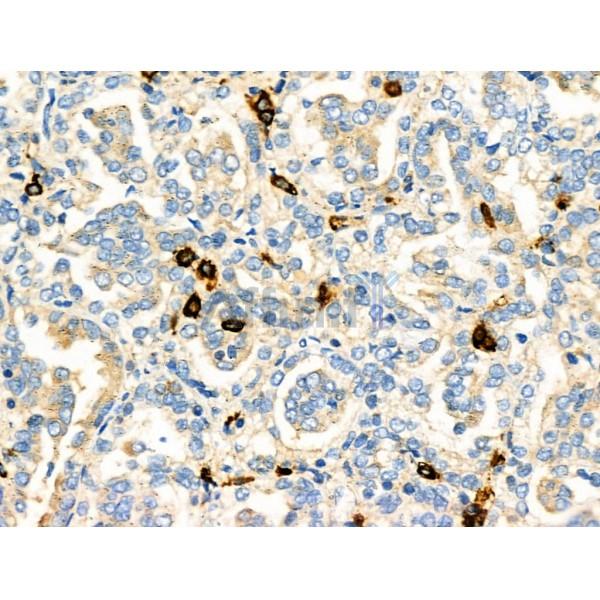 Валидация Affinity DF4303 - 15725