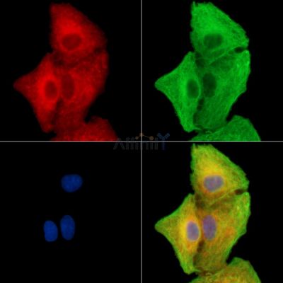 Валидация Affinity DF15171 - 11444