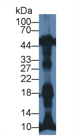 8445