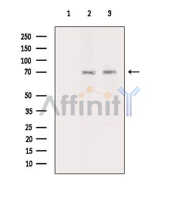 Валидация Affinity DF15743 - 12219