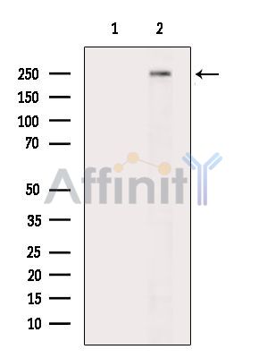 Валидация Affinity DF15690 - 12151