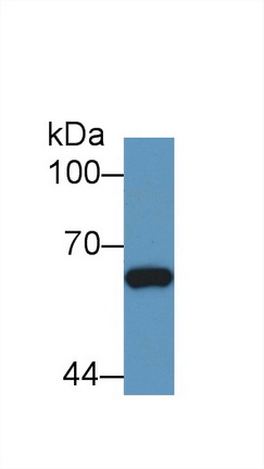 8450