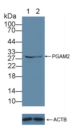 12142