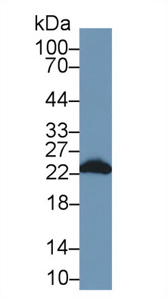 13766