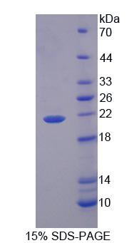 59725