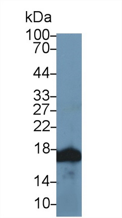 13750