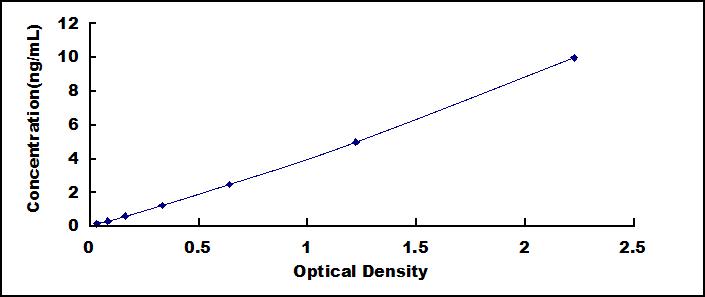 62057