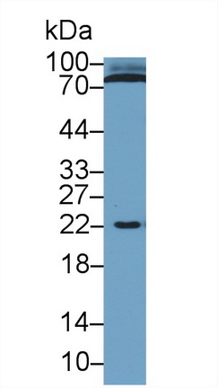 13660