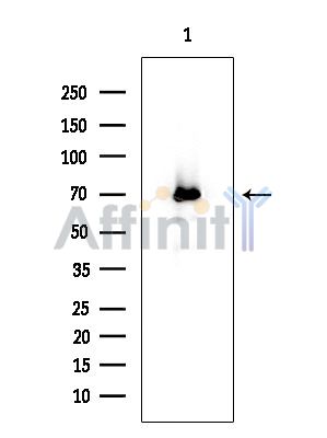 Валидация Affinity DF3351 - 14217