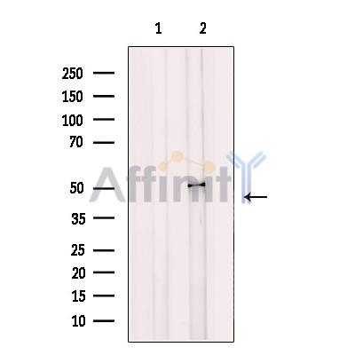 Валидация Affinity DF12161 - 6355