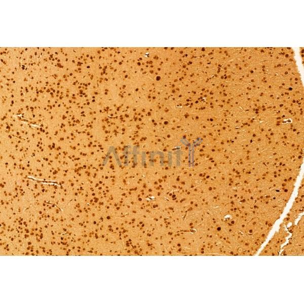 Валидация Affinity AF6308 - 3579