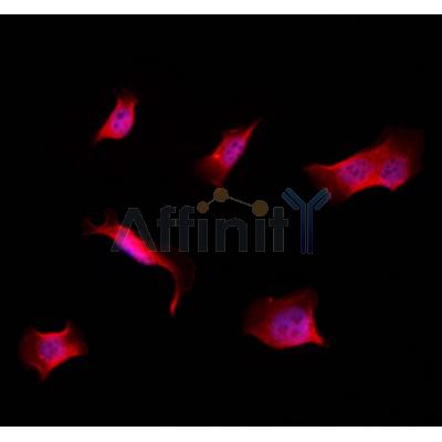 Валидация Affinity DF3188 - 14000