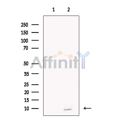 Валидация Affinity DF13620 - 9139