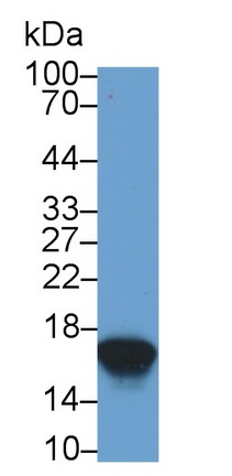 28337