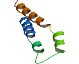 Ring Finger Protein 187 (RNF187)