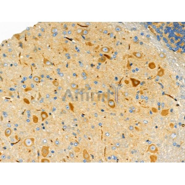 Валидация Affinity DF4686 - 16361