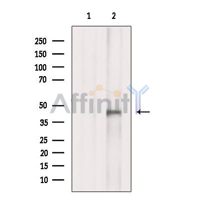 Валидация Affinity DF6184 - 17435
