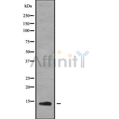 Валидация Affinity DF9448 - 22024