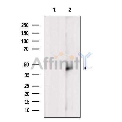 Валидация Affinity DF12198 - 6443