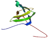 Non Catalytic Region Of Tyrosine Kinase Adaptor Protein 1 (NCK1)