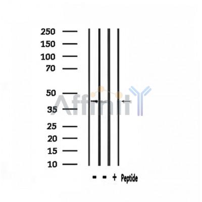 Валидация Affinity DF3517 - 14447
