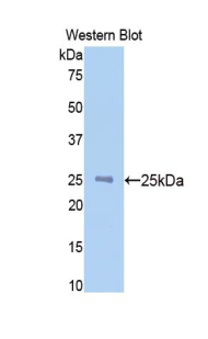 49001