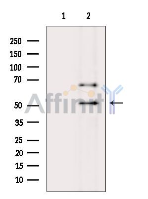 Валидация Affinity DF15985 - 12517