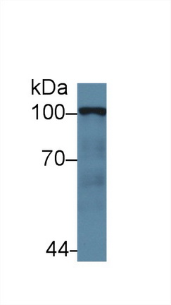 13829