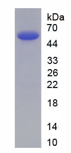 64789