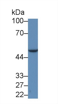 359