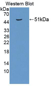 58766