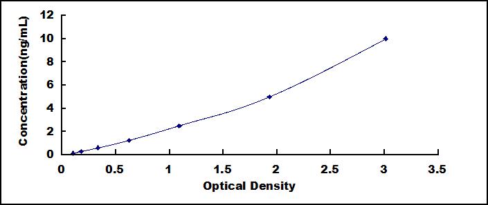 37138