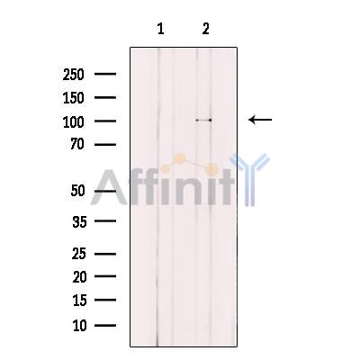 Валидация Affinity DF12286 - 6639