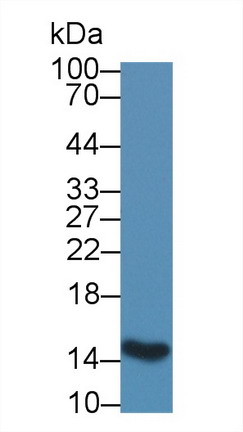 8475