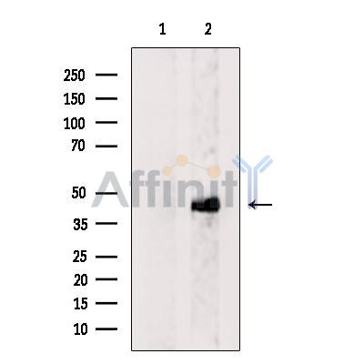 Валидация Affinity DF8359 - 20219