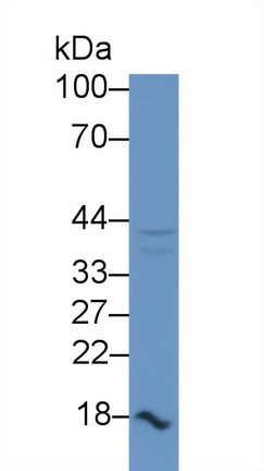 19483