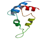 Protein Phosphatase 2, Regulatory Subunit B"" Alpha (PPP2R3a)