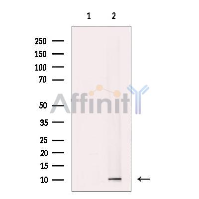 Валидация Affinity DF12487 - 7055
