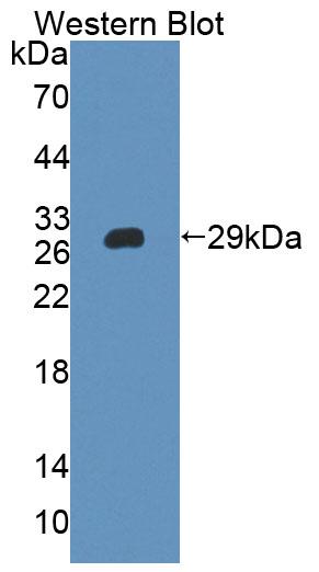 53189