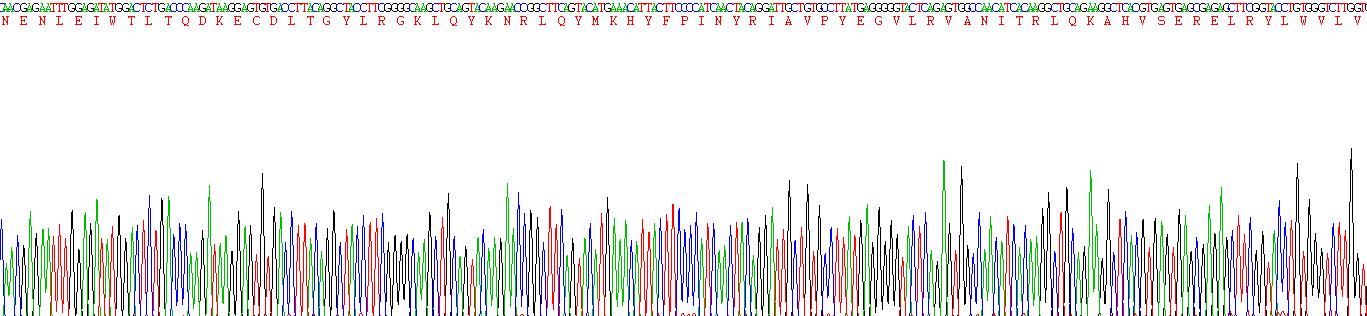 18715