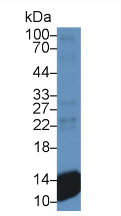 10514