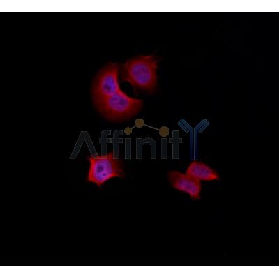 Валидация Affinity DF3601 - 14568
