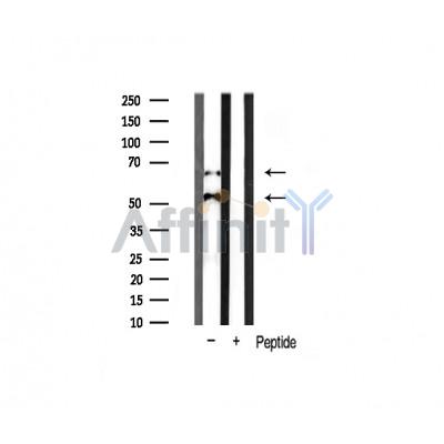 Валидация Affinity AF6434 - 3743