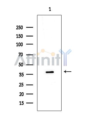 Валидация Affinity DF4807 - 16551