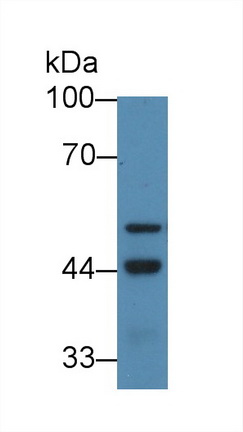 13950