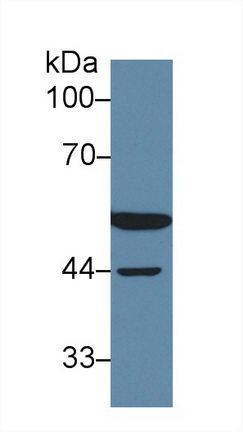 13576