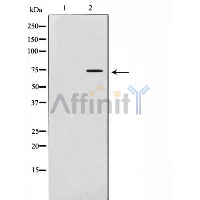 Валидация Affinity AF5330 - 2902