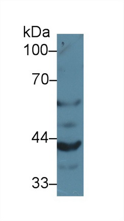 10256