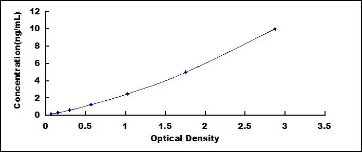 52494
