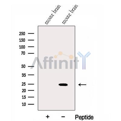 Валидация Affinity DF13042 - 7879